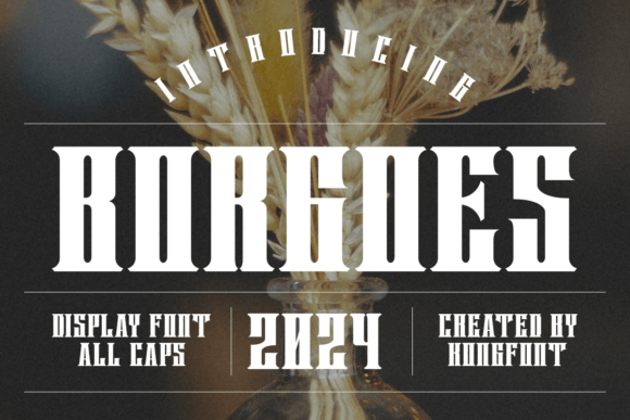 Borgoes Font for Bold Campaigns