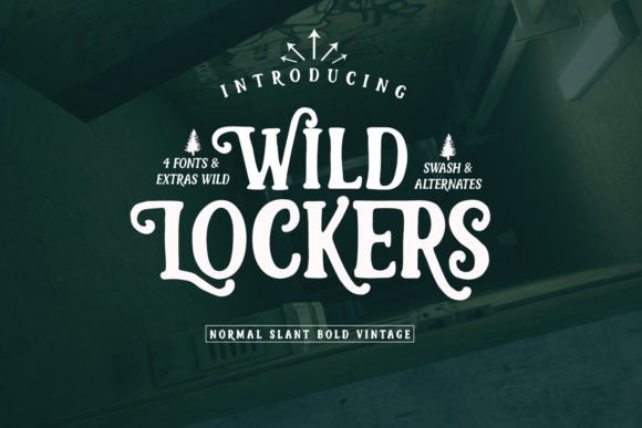 Wild Lockers Display Font for Bold Web Typography